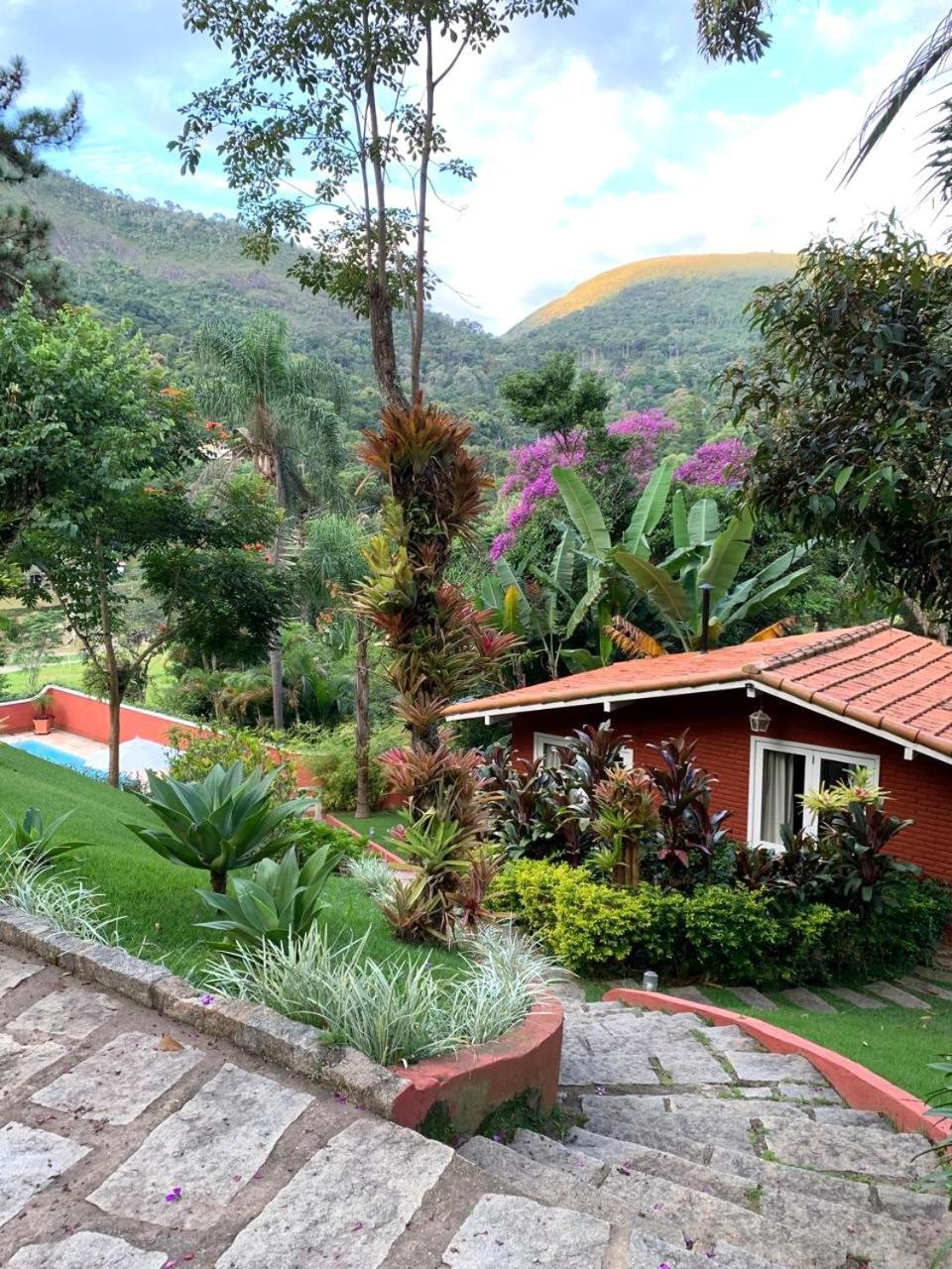 Su Paradise E * Correas